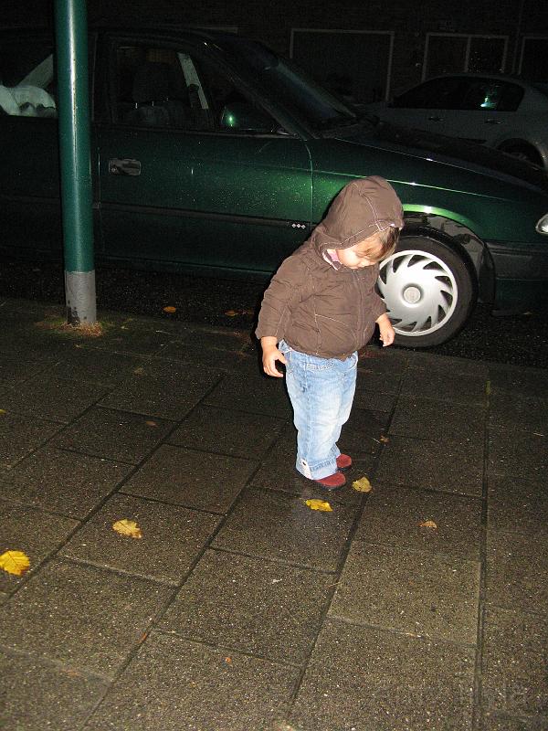 2008-10-28.JPG