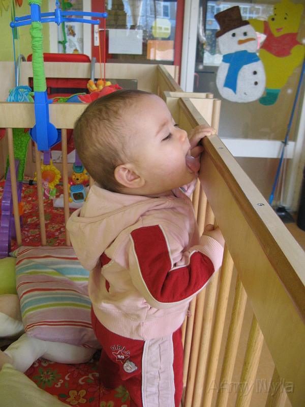 2008_02_03.JPG